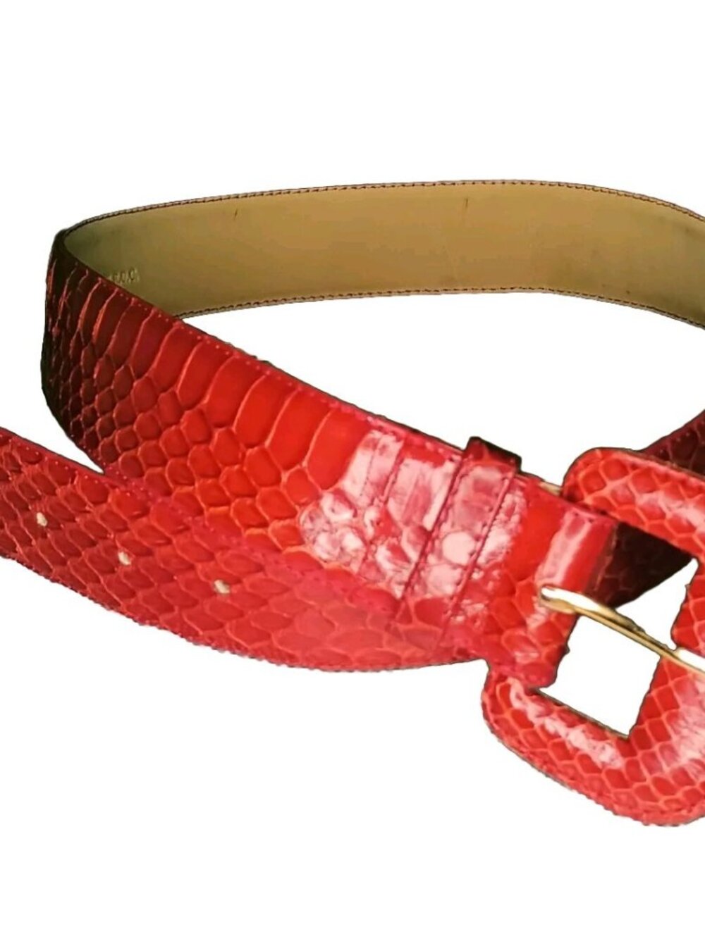 Axiom Genuine Snakeskin Belt Womens Small Red Vintage Wide Statement Gold Buckle